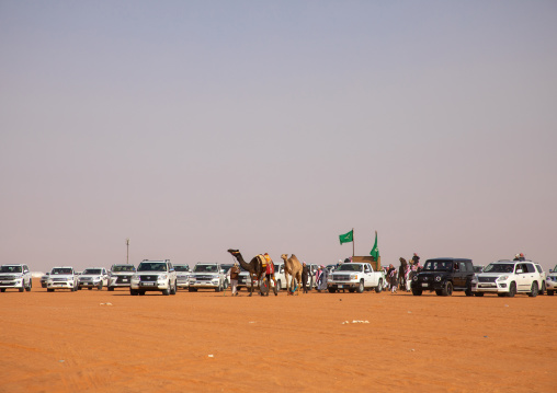 Saudi men following camels with their cars during King Abdul Aziz Camel Festival, Riyadh Province, Rimah, Saudi Arabia