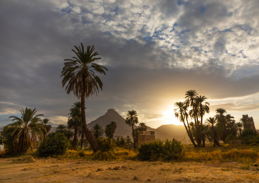 Traditional old mud house with palm trees, Najran Province, Najran, Saudi Arabia