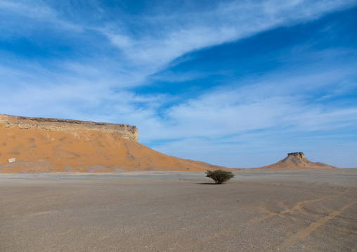 Rub al Khali empty quarter desert, Najran Province, Khubash, Saudi Arabia