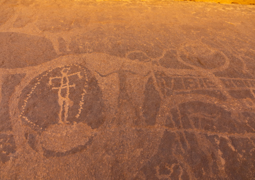 Petroglyphs on a rock depicting cows, Najran Province, Thar, Saudi Arabia