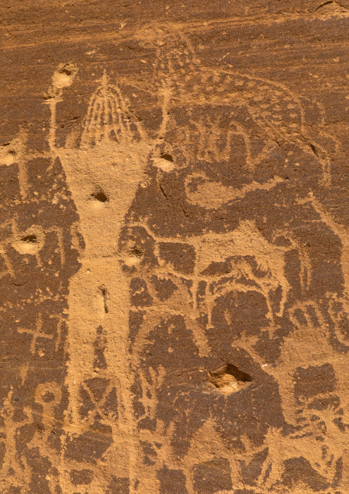 Petroglyphs on a rock depicting Aliya the goddess of fertility, Najran Province, Thar, Saudi Arabia