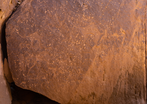 Petroglyphs on a rock depicting camels, Najran Province, Thar, Saudi Arabia