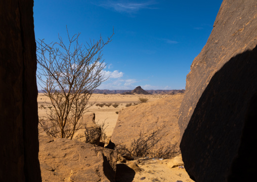 Dry landscape in the desert, Najran Province, Thar, Saudi Arabia