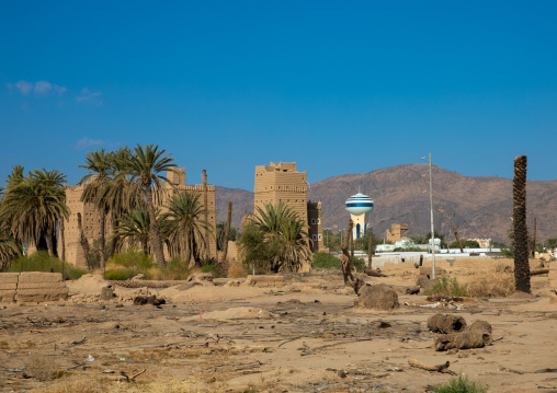 Traditional old mud houses with palm trees, Najran Province, Najran, Saudi Arabia