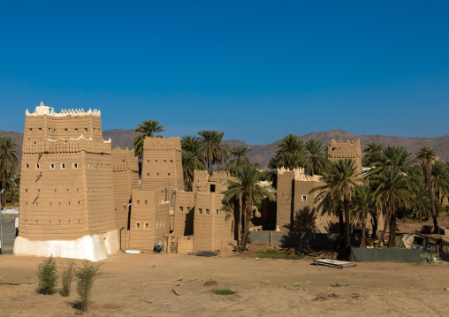 Traditional old mud house with palm trees, Najran Province, Najran, Saudi Arabia