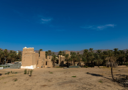 Traditional old mud houses in the oasis, Najran Province, Najran, Saudi Arabia