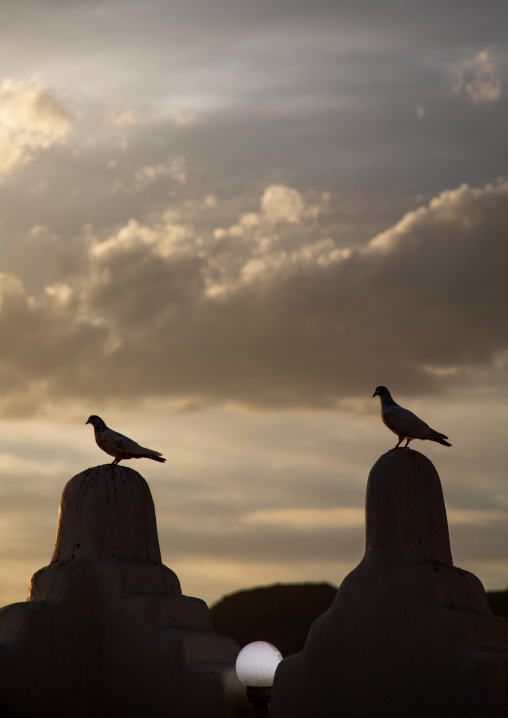 Doves on Emarah palace crenels, Najran Province, Najran, Saudi Arabia