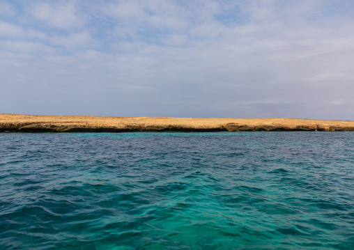 Coral reef in the Red sea, Jazan Province, Farasan, Saudi Arabia