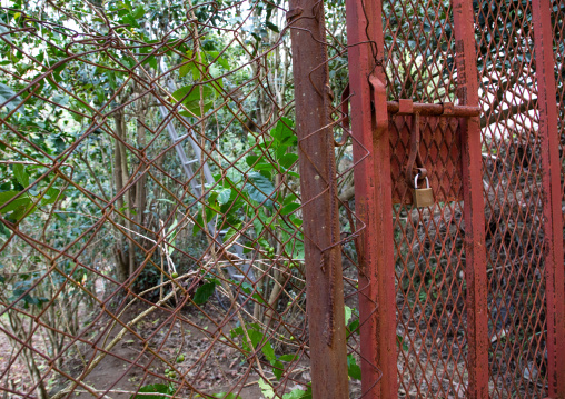 Al Kawbaa farm entrance locked, Jizan Province, Faifa Mountains, Saudi Arabia