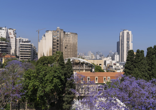 Sursock Palace garden with Jacaranda trees, Beirut Governorate, Beirut, Lebanon