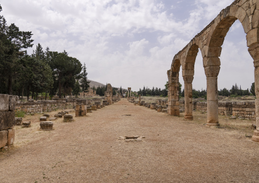 The cardo of the Umayyad city, Beqaa Governorate, Anjar, Lebanon