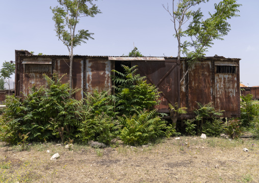 Old wagoon in railway station from Beirut–Damascus line, Beqaa Governorate, Rayak, Lebanon