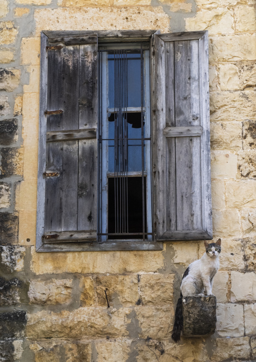 Cat in front of the window of an old heritage house, Mount Lebanon Governorate, Deir el Qamar, Lebanon