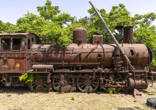 Old locomotive from Beirut–Damascus line covered by plants, Beqaa Governorate, Rayak, Lebanon