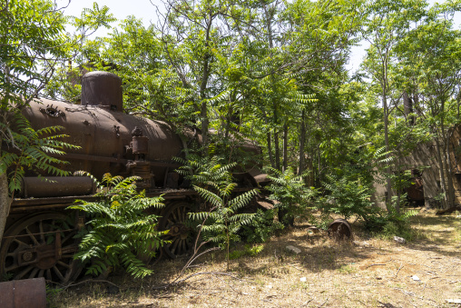 Old locomotive from Beirut–Damascus line covered by plants, Beqaa Governorate, Rayak, Lebanon