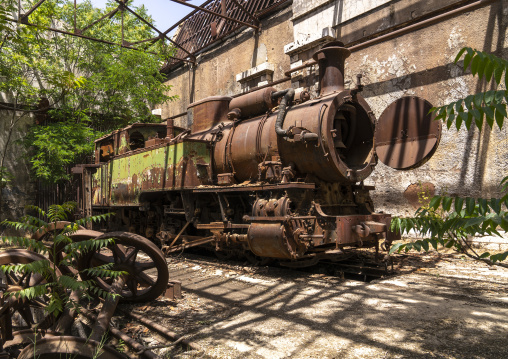 Old locomotive from Beirut–Damascus line covered by plants, Beqaa Governorate, Rayak, Lebanon