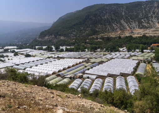 Greenhouses in the valley, Mount Lebanon, Bsatin Al-Ossi, Lebanon