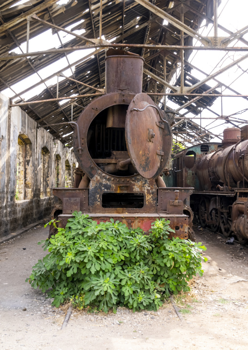 Old locomotive from Beirut–Damascus line, North Governorate, Tripoli, Lebanon