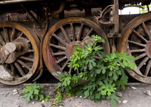 Old locomotive from Beirut–Damascus line, North Governorate, Tripoli, Lebanon