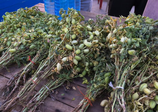 Fresh chickpeas for sale in the street, North Governorate, Tripoli, Lebanon