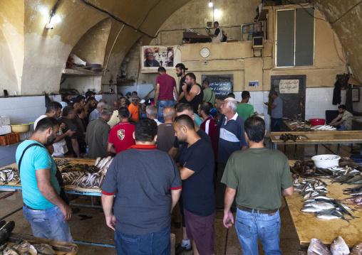 Auction in the fish market, North Governorate, Tripoli, Lebanon