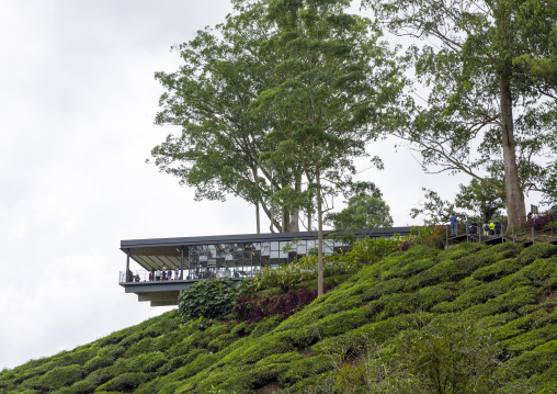 Boh tea center building over the tea plantnations, Pahang, Cameron Highlands, Malaysia