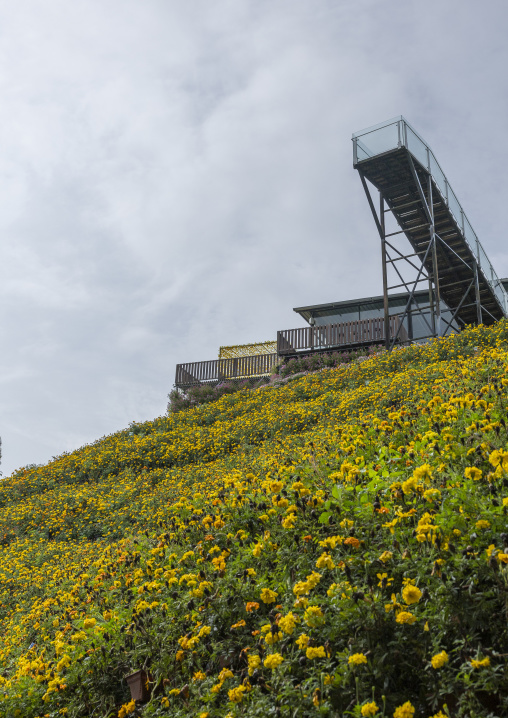 Point of view in Cameron Floral Park, Pahang, Cameron Highlands, Malaysia