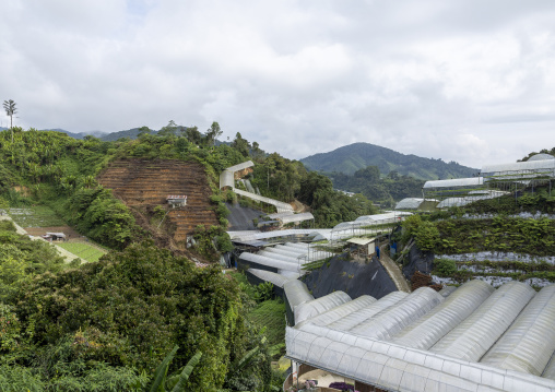 Greenhouses in Cameron Floral Park, Pahang, Cameron Highlands, Malaysia