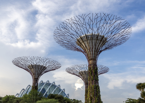 Supertrees at  Gardens by the Bay, Central Region, Singapore, Singapore