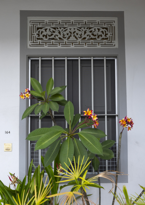 Heritage shophouse window along Koon Seng Road, Central Region, Singapore, Singapore