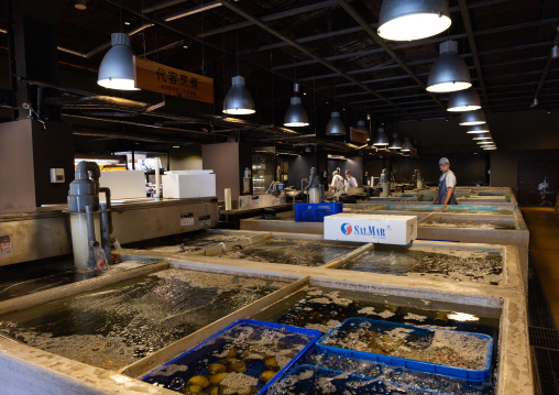 Store aquariums in the fish market, Zhongshan District, Taipei, Taiwan