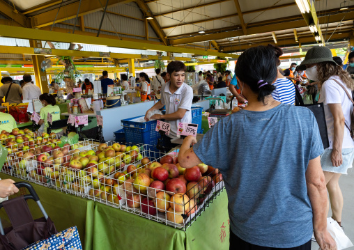 Farmers maket in Taipei Hope Square, Zhongzheng District, Taipei, Taiwan