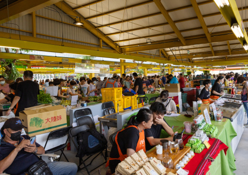 Farmers maket in Taipei Hope Square, Zhongzheng District, Taipei, Taiwan