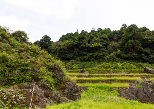 Terraces in Zhu Zi Hu aka Bamboo lake, Beitou, Taipei, Taiwan