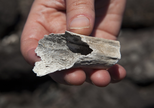 Old human bone, Easter Island, Hanga Roa, Chile