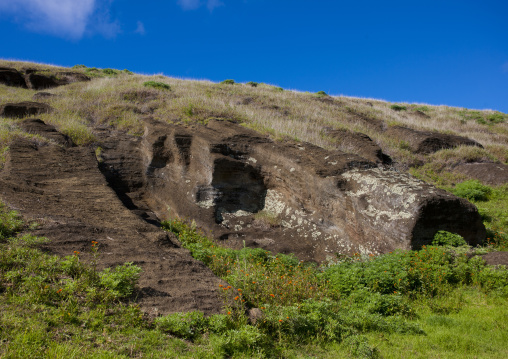 Unfinished moais in rano raraku, Easter Island, Hanga Roa, Chile