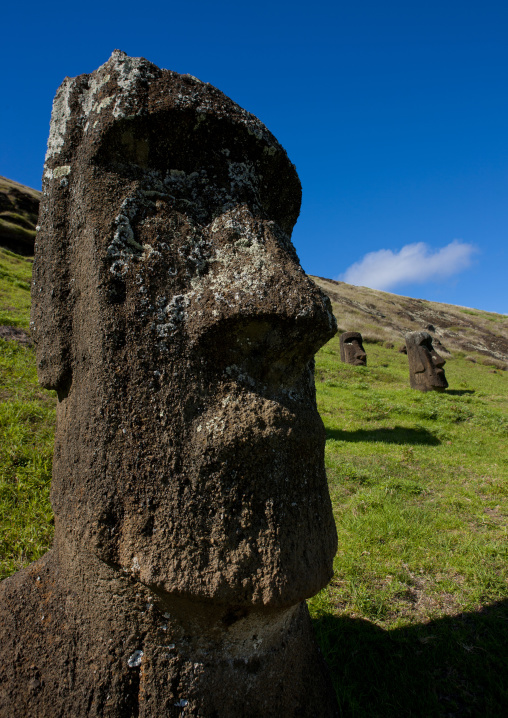 Moais in rano raraku, Easter Island, Hanga Roa, Chile