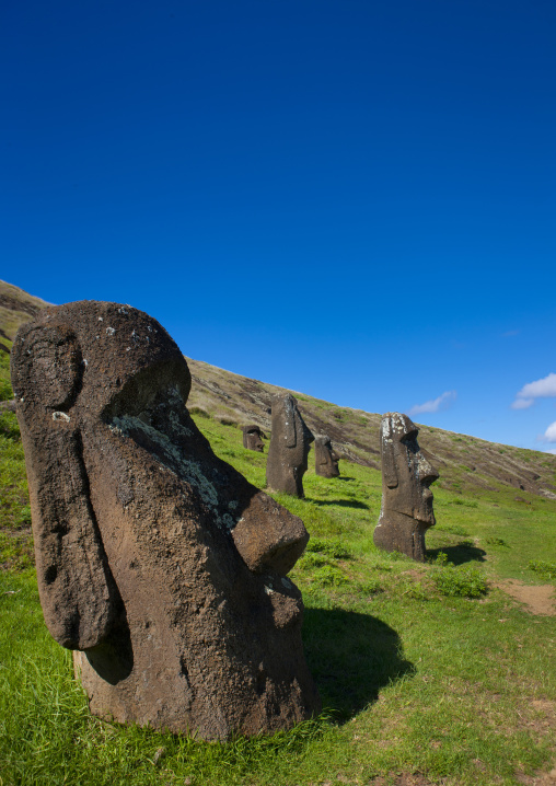 Moais in rano raraku, Easter Island, Hanga Roa, Chile