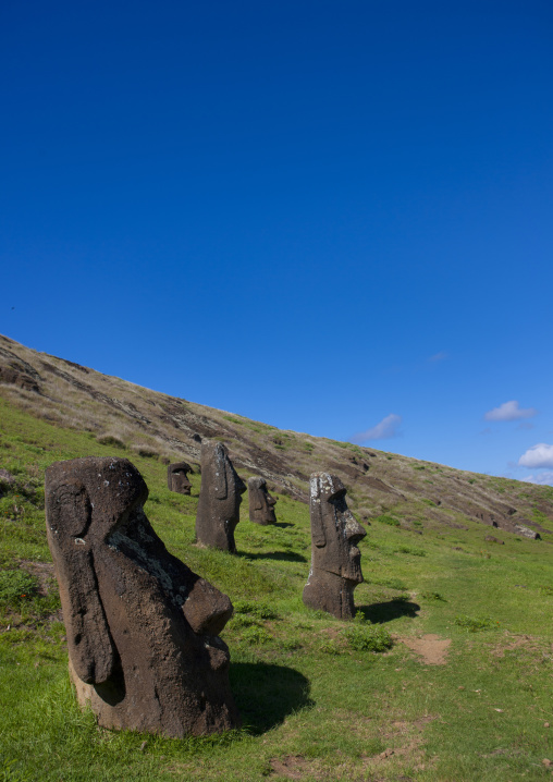 Moais in rano raraku, Easter Island, Hanga Roa, Chile