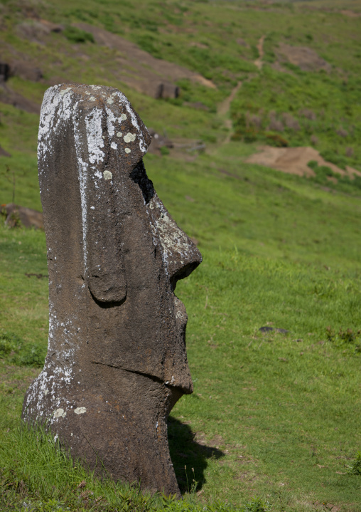 Moai in rano raraku, Easter Island, Hanga Roa, Chile