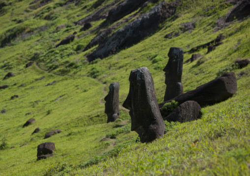 Moais in rano raraku, Easter Island, Hanga Roa, Chile