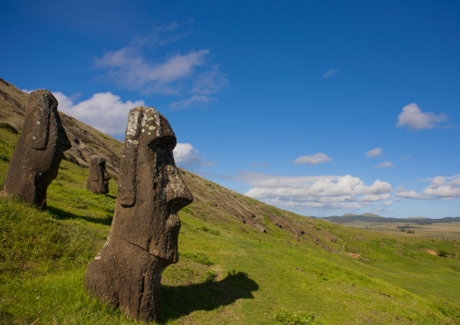 Moais in rano raraku, Easter Island, Hanga Roa, Chile