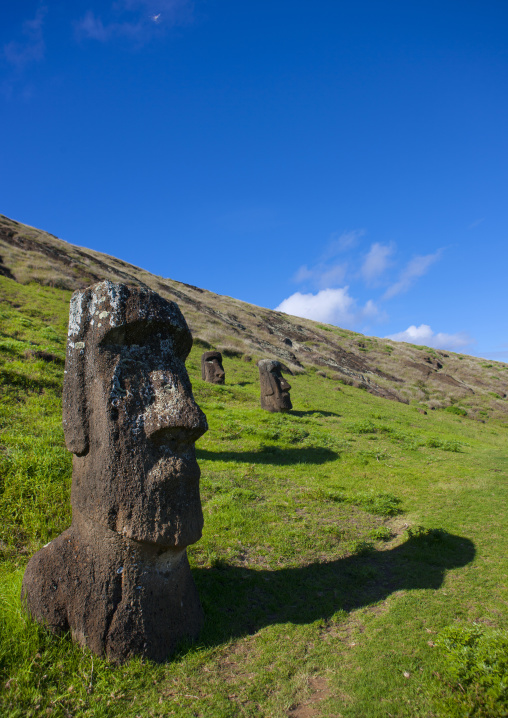 Moais in rano raraku, Easter Island, Hanga Roa, Chile