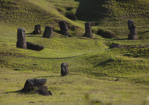 Moais in rano raraku, Easter Island, Hanga Roa, Chile