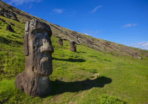 Moais in rano raraku, Easter Island, Hanga Roa, Chile