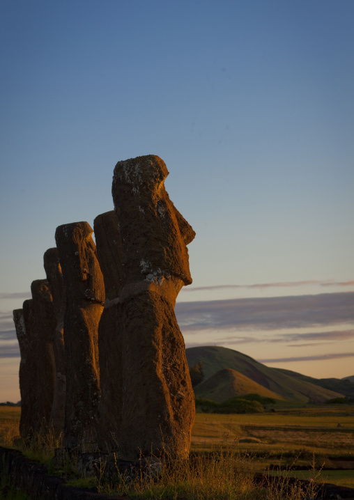 Moais in ahu akivi at sunset, Easter Island, Hanga Roa, Chile