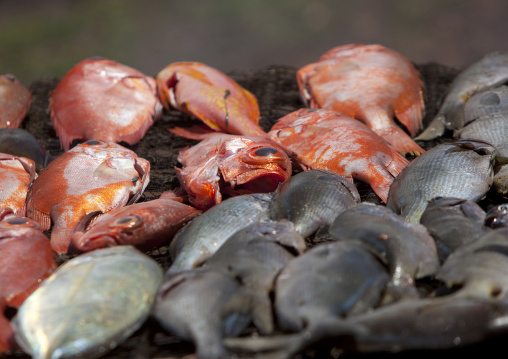 Free food provided during tapati in anakena beach, Easter Island, Hanga Roa, Chile