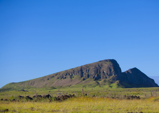 Rano raraku, Easter Island, Hanga Roa, Chile