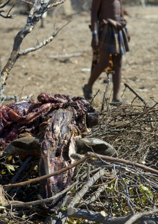 Muhimba, Village Of Elola, Angola