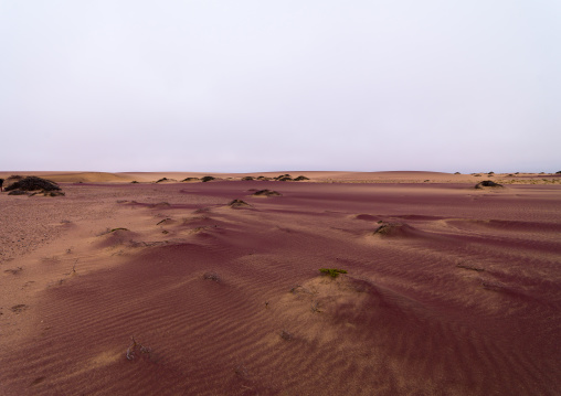 Pink sand in the namib desert, Namibe Province, Iona National Park, Angola